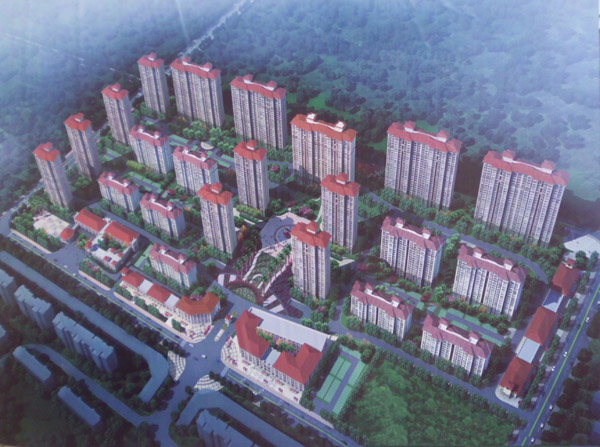 ����鿴��