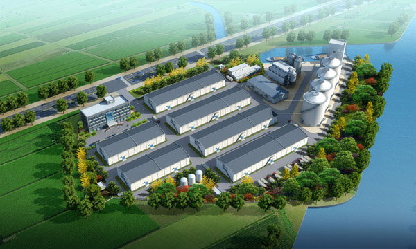 ����鿴��